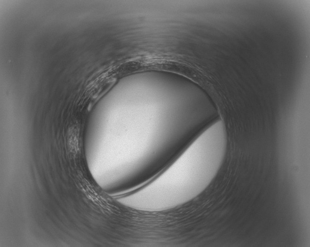 X0000086071348200703231003