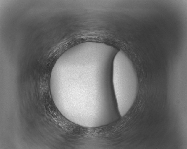 X0000086071350200703231002