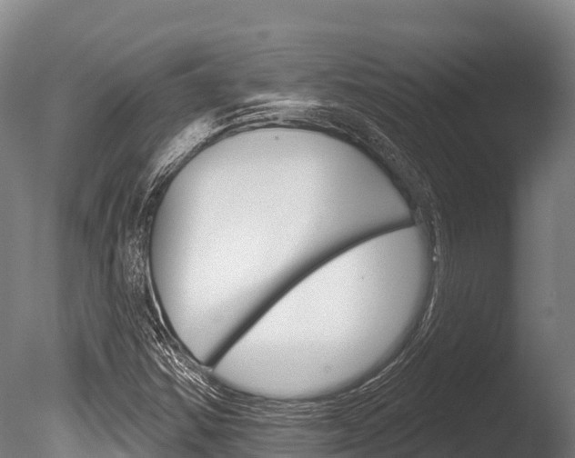 X0000086071354200703231002