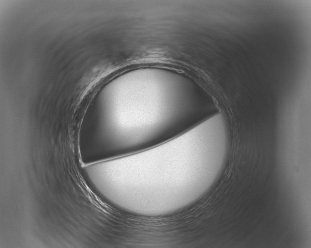 X0000086071356200703231002