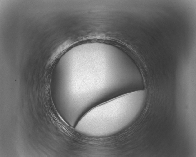 X0000086071359200703231002