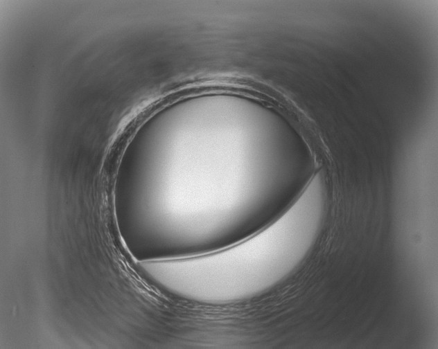 X0000086071360200703231002
