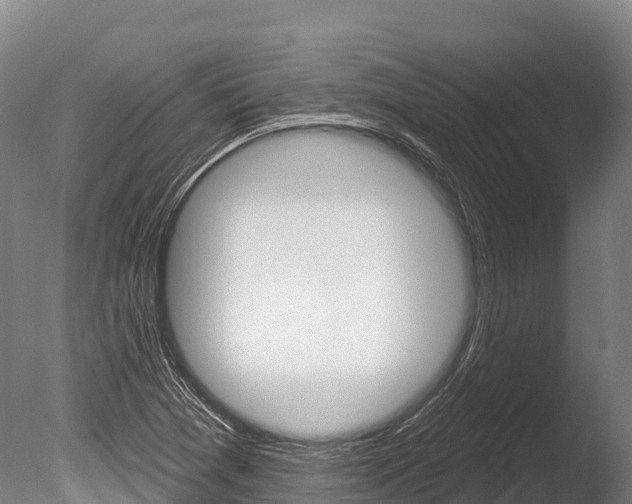 X0000086071361200703231002