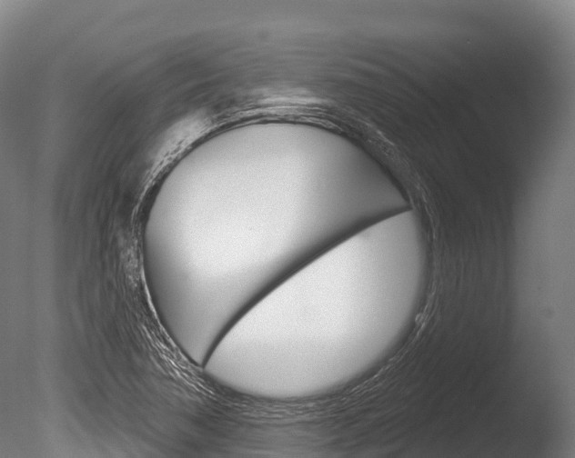 X0000086071362200703231002