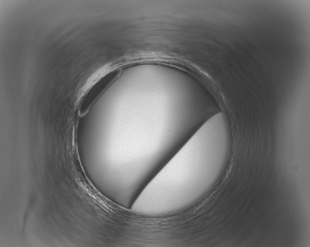 X0000086071365200703231002