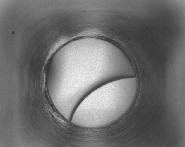 X0000086071366200703231002