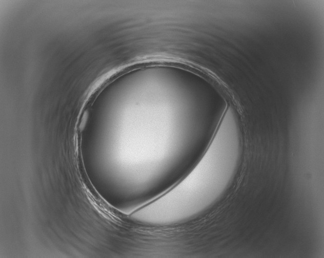X0000086071372200703231002