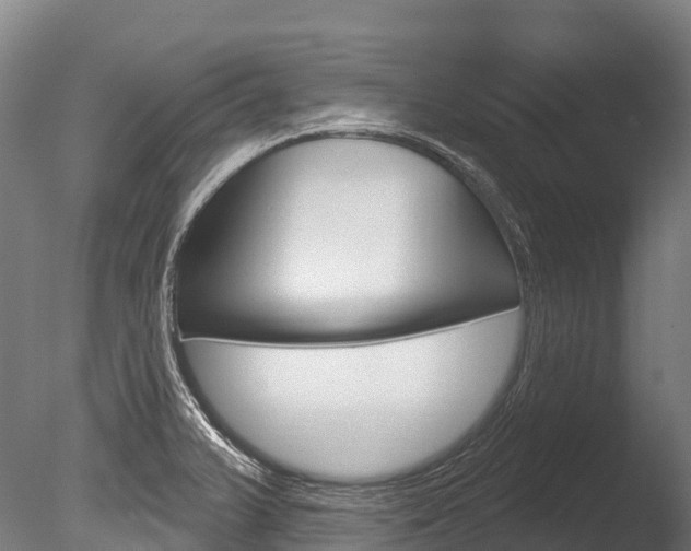 X0000086071375200703231002