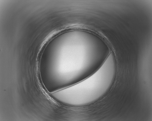 X0000086071376200703231002