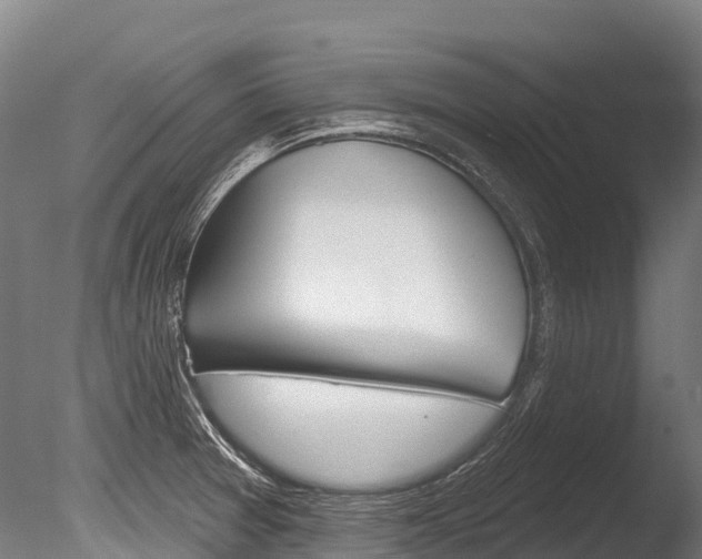 X0000086071377200703231002