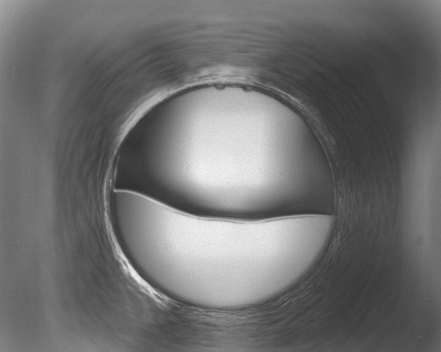 X0000086071383200703231002