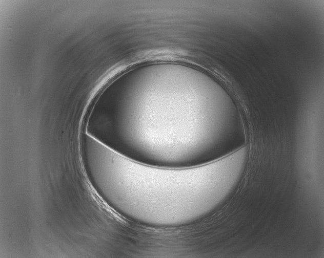X0000086071384200703231002