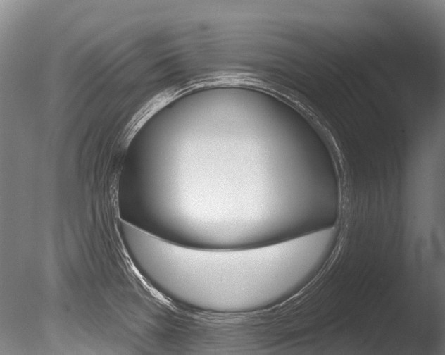 X0000086071385200703231002