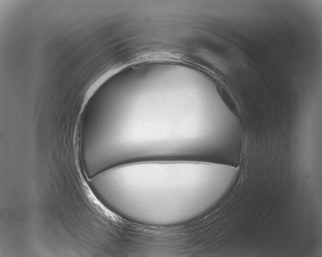 X0000086071387200703231002