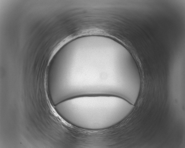 X0000086071390200703231002