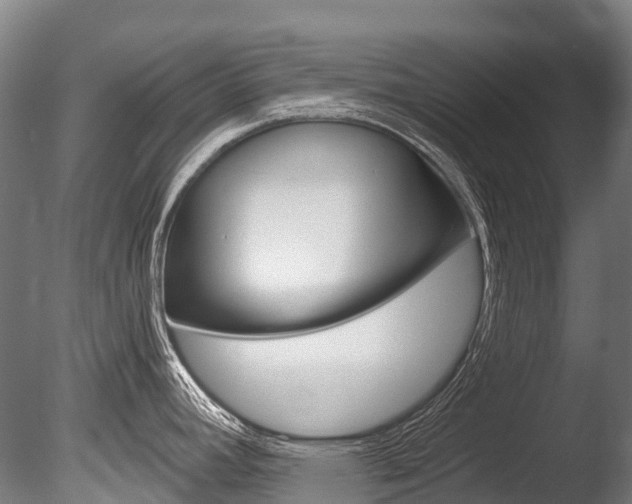 X0000086071392200703231002