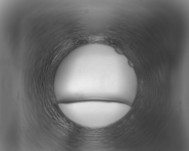 X0000086071393200703231001