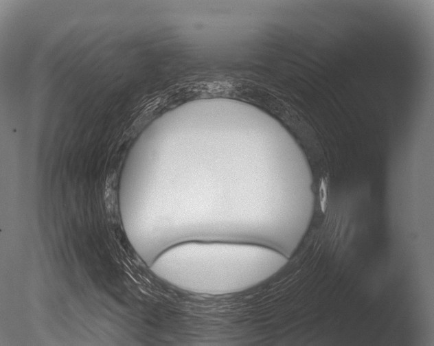X0000086071395200703231001
