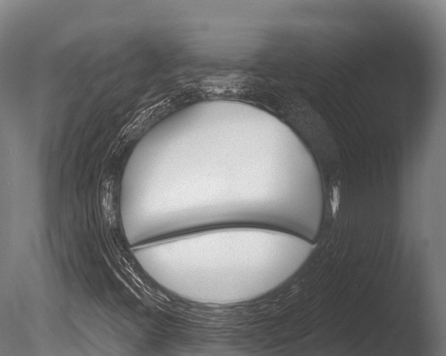 X0000086071396200703231001