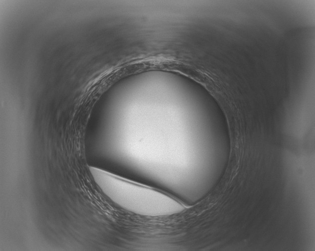 X0000086071398200703231001
