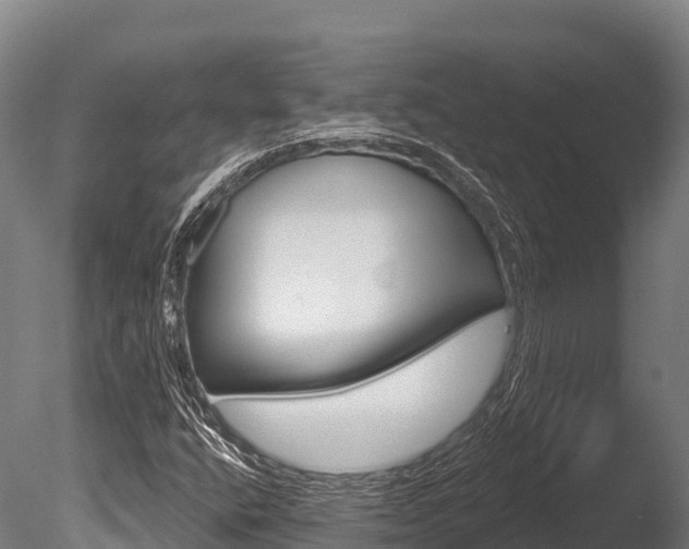X0000086071400200703231001