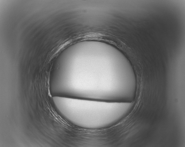 X0000086071401200703231001