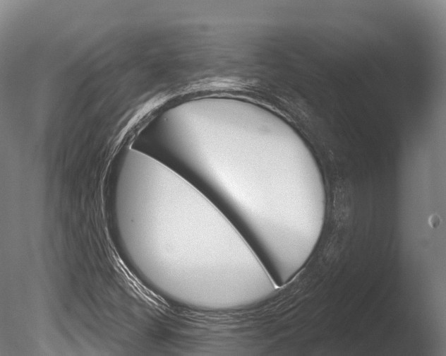 X0000086071404200703231001