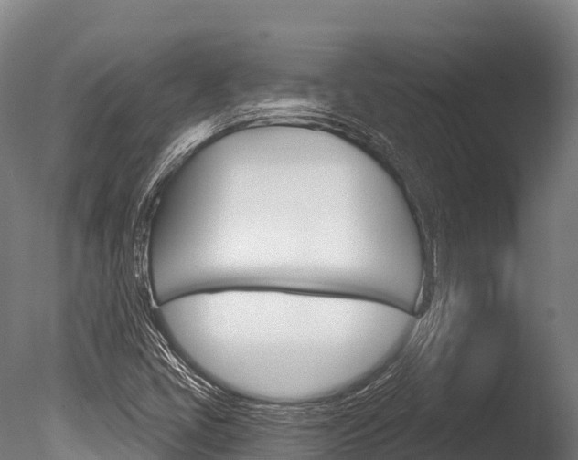 X0000086071405200703231001