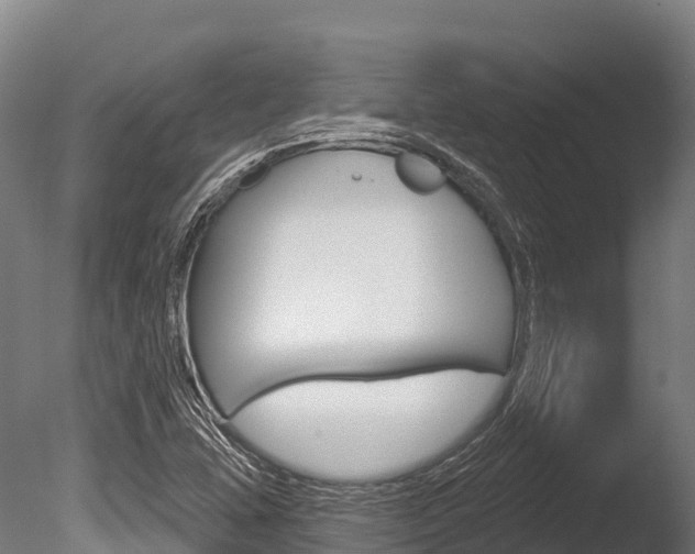X0000086071407200703231001