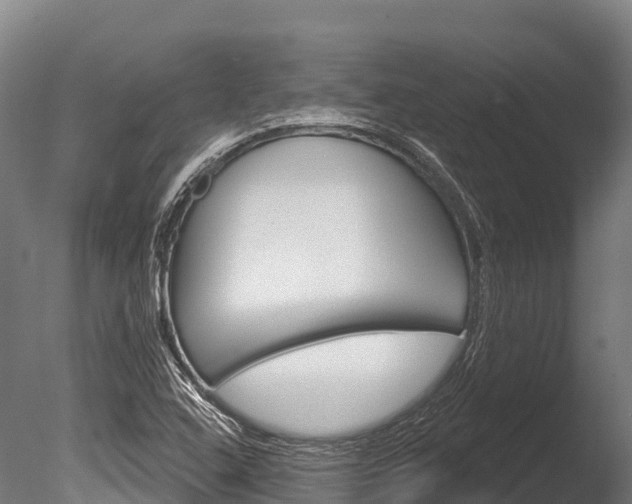 X0000086071408200703231001