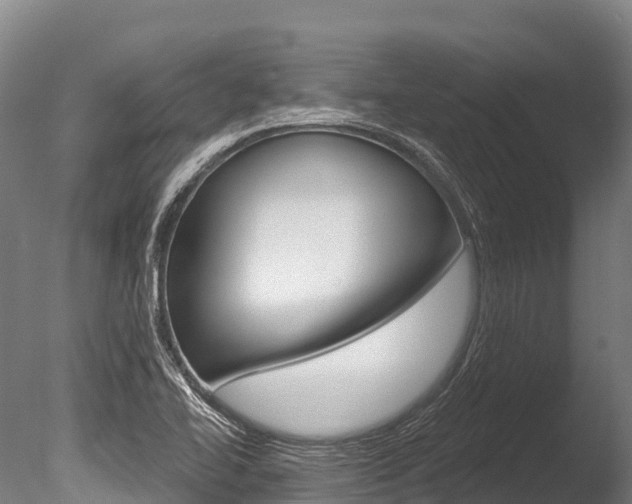 X0000086071414200703231001