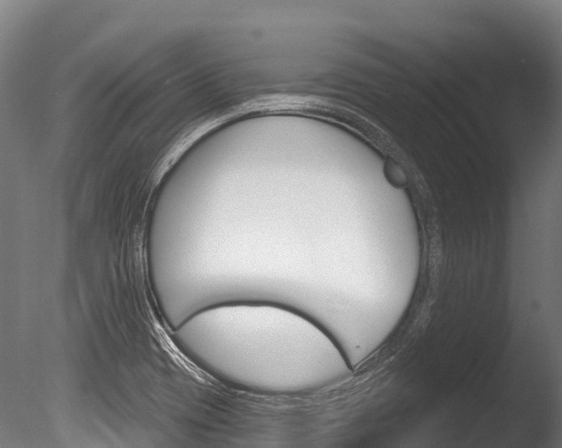 X0000086071417200703231001