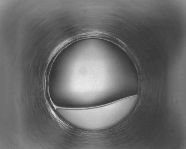 X0000086071418200703231001