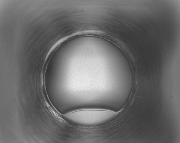 X0000086071420200703231001