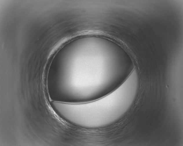 X0000086071422200703231001