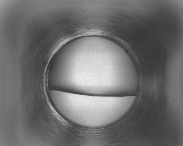 X0000086071423200703231001