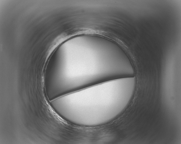 X0000086071428200703231002