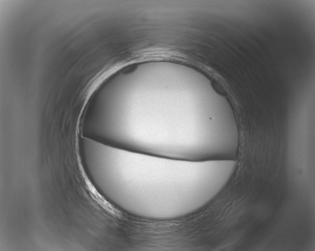 X0000086071431200703231002
