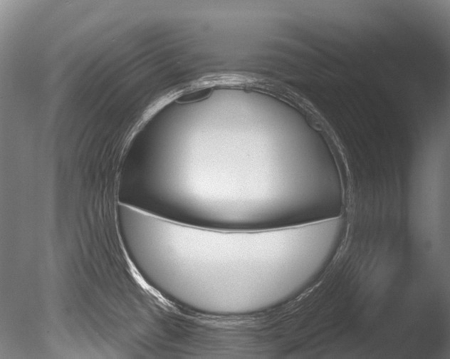 X0000086071433200703231002