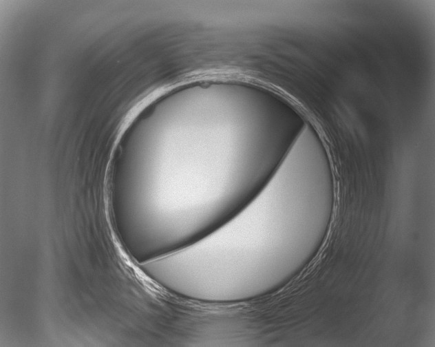 X0000086071440200703231002