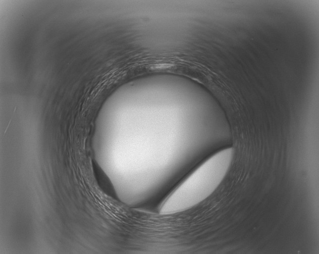 X0000086071441200703231001