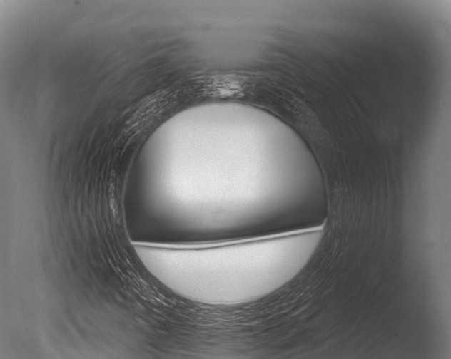 X0000086071442200703231001