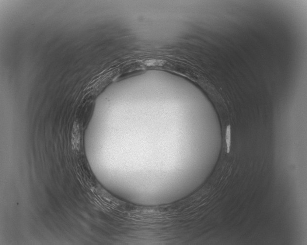 X0000086071443200703231001