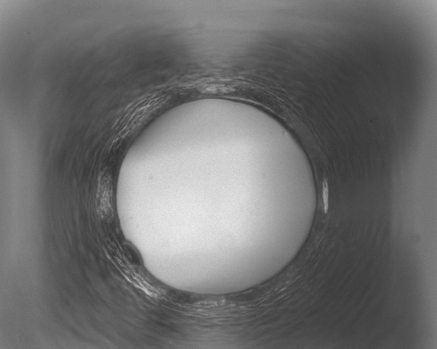 X0000086071444200703231001