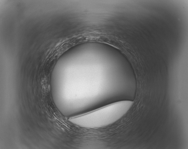 X0000086071445200703231001