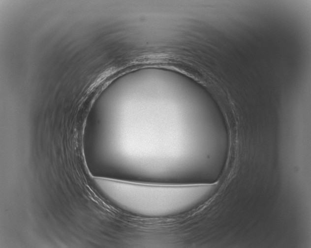 X0000086071449200703231001