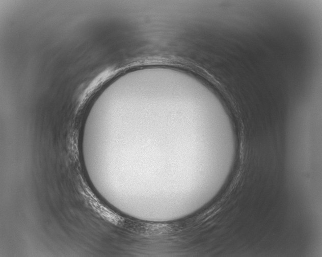X0000086071454200703231001