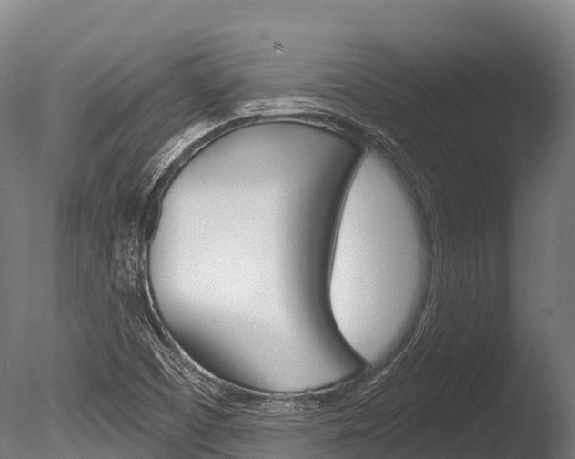 X0000086071457200703231001