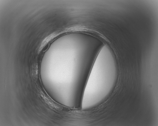 X0000086071461200703231001