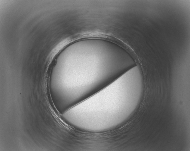 X0000086071463200703231001